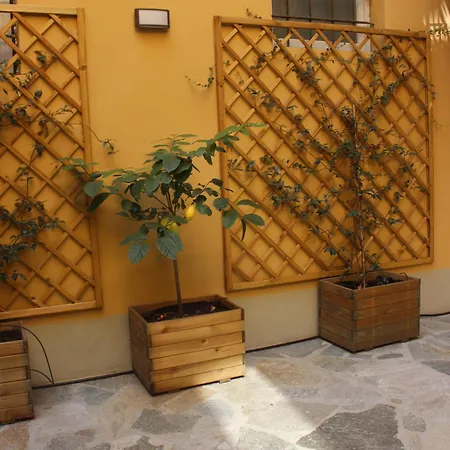 Sem Chi, Secret Garden Nel Cuore Di Turin